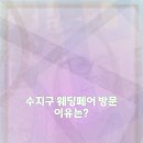 수지장식 | 수지구 웨딩페어 다녀왔어요 후기 총정리