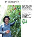 일심농장 이미지