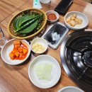 통돼지 두루치기 Daum카페
