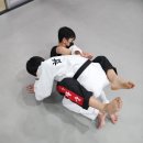 용호체육관 이미지