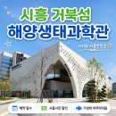 ㈜보고해양개발 | 시흥 아이와 가볼만한곳 거북섬 오이도 해양생태과학관 생태과학관 예약 할인 주차 방문 후기