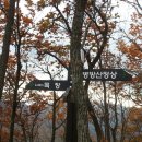 아리힐스(짚와이어) 이미지