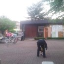 두루미공원 화장실 이미지