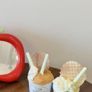 성심로 | 춘천 젤라또 맛집 두스쿱 맛있는 수제 젤라또 후기