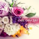 향기 이미지