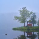 자연의꿈 이미지