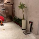 카파쓰호텔 | 강남 가성비 숙소 카파쓰 호텔 슈페리어킹 숙박 후기