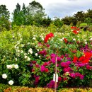 광주시청 이미지