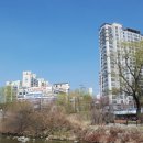 오리교1