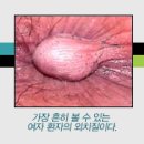 건강한미래항외과의원 이미지
