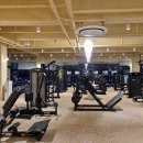 퀸덤피트니스 이미지