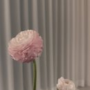 시유하다(siyuhada) 이미지