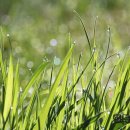 아침하늘 이미지