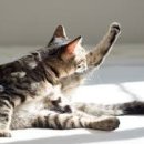 그루밍온 이미지