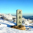 태백산 눈꽃 축제 안내 (1/27 금 ~ 2/5 일) 이미지