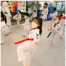 용인대우리태권도 이미지