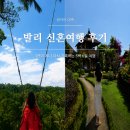 논향농장 | 발리 신혼여행 후기 | 5박 6일 자유여행 직접 다녀와보니