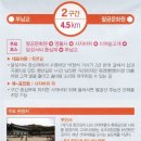 팔공산 둘레길 2구간 이미지