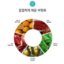 점프스타 | 살 빠지는 게 눈에 보여요! 체지방만 쏙~ 빼주는 TRME 점프스타트윈 내돈내산 후기