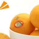 향긋농장 이미지