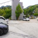 숲속에 바다 이미지