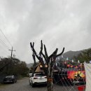 봄봄캠핑 이미지