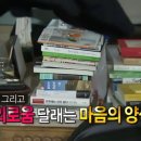 4월 1/2