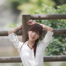 아리아리