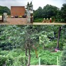 대성초삼거리 이미지