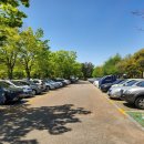 봉황한의원 이미지