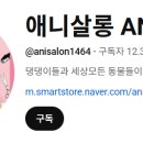 애니살롱 본점 이미지