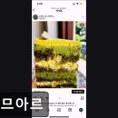 라므아르 이미지