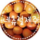 네츄럴제주