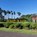 무료사주풀이,무료운세풀이-2027년이직운,직장운은, 사주명리학교수가, 이미지