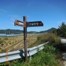 인월송. 인월뷔페식당 | 지리산둘레길 제2구간(운봉.서림공원~황산대첩비~인월. 달오름마을)에서