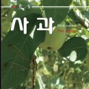 주식회사 삼인 이미지