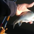 우목 낚시터 이미지