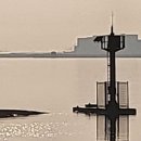 오늘은봄날 이미지