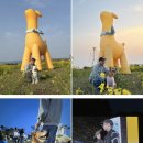 제주트립 | 소노캄 제주, 소노런트립 후기 : 강아지와 함께하는 행사