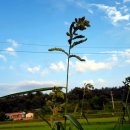 의리농장 이미지