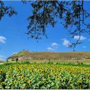 연천 호로고루 이미지