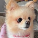 간식잇댕 이미지