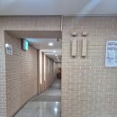 선산중앙로-9 이미지