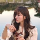 브라운디자인 이미지