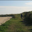 표선리-22 이미지