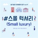 럭셔리 티스토리