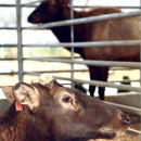 성우2농장 이미지