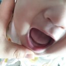 어썸판도라 | 만족스러워 재구매한 수분재생크림, 어썸판도라 셀루아크림