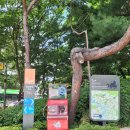 장지천 화장실 | 서울둘레길 7코스, 일자산 능선을 지나 도심을 가로지르는 일자산코스 트레킹