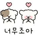 몽글펫 네이버블로그